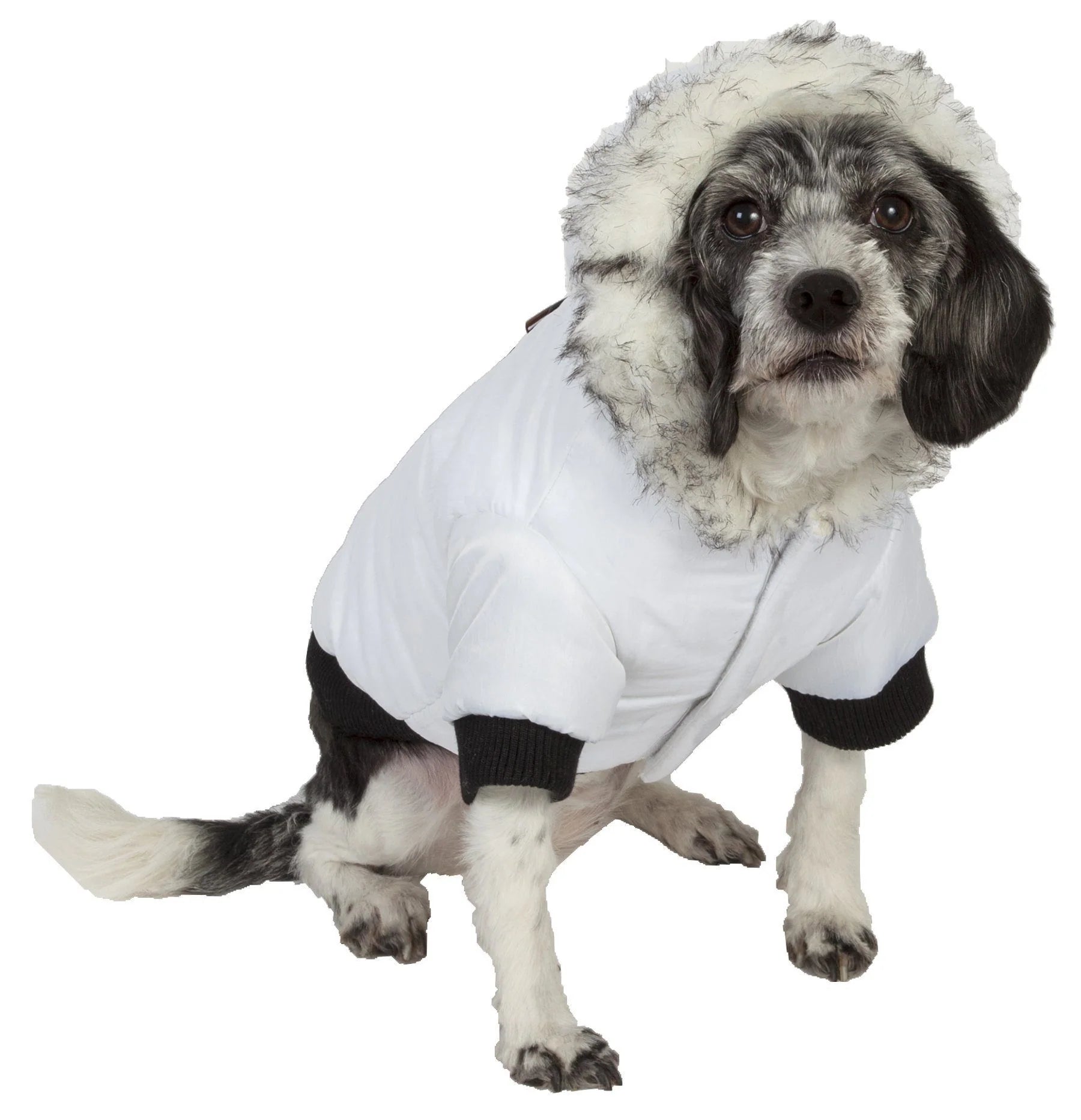 3M Designer Fashion Pet Dog Coat