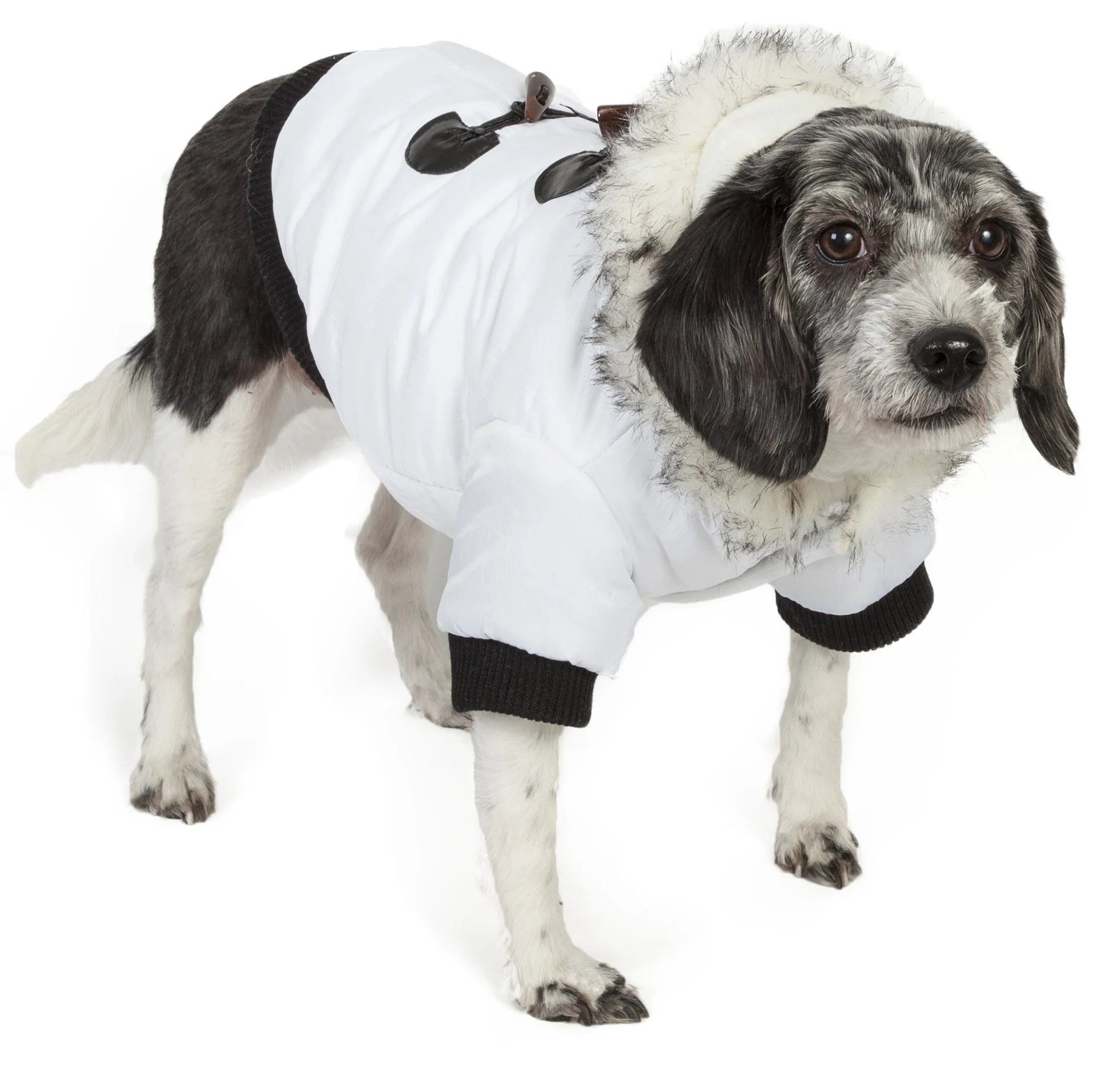 3M Designer Fashion Pet Dog Coat