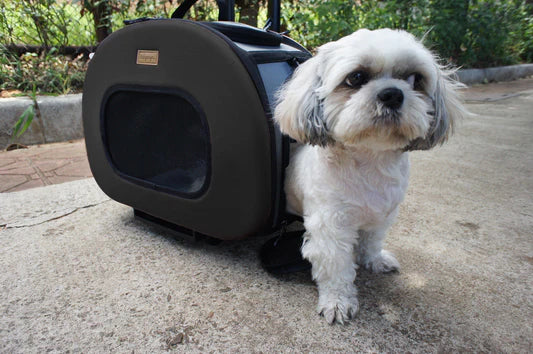 Black Tough-Shell Wheeled Collapsible Pet Carrier