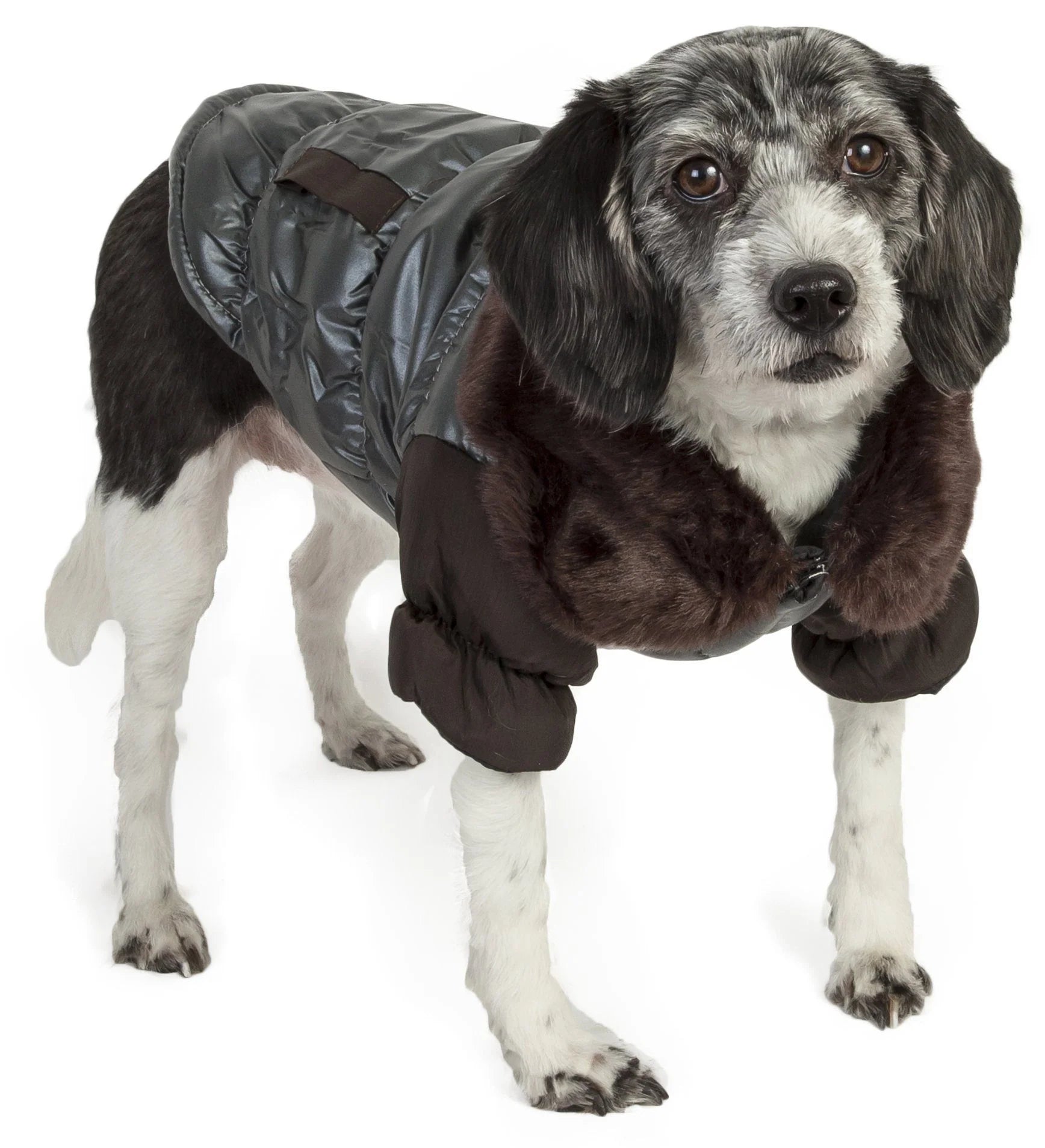 Ultra Fur Fashion Pet Dog Coat