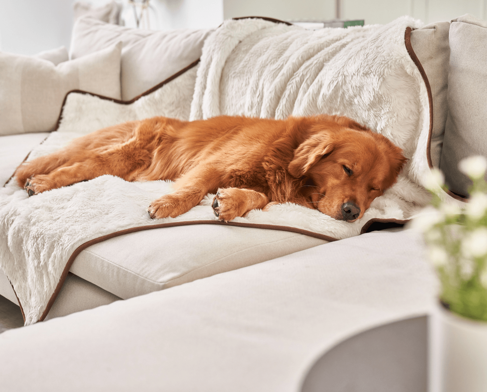 PupProtectorShort Fur Waterproof Throw Blanket - Polar White