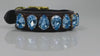 Blue Crystal Dog Collar 