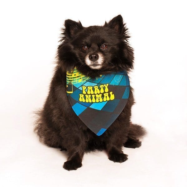 Party Animal Birthday Dog Bandana by Dog Fashion Living