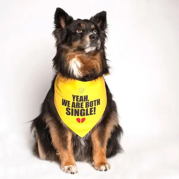 Yeah, We Are Both Single Dog Bandana by Dog Fashion Living