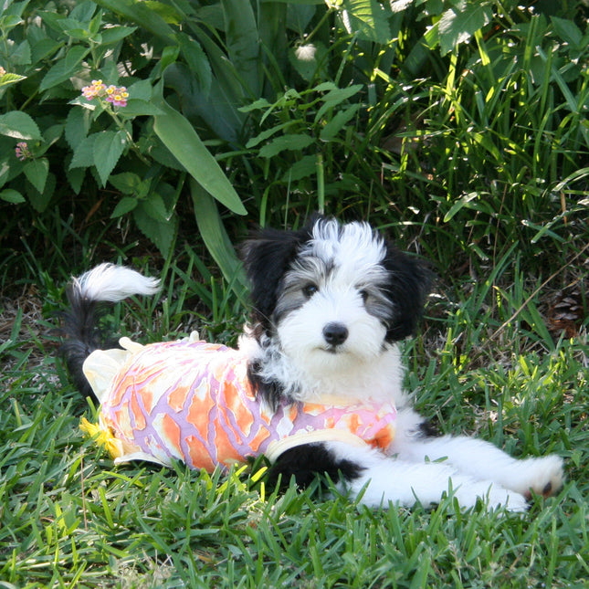 The Sunshine - Tie Dyed Dress