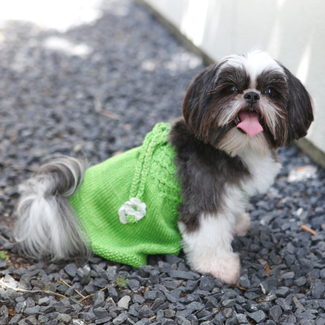 The Daisy - Green Hand Knit Sweater Dog Dress