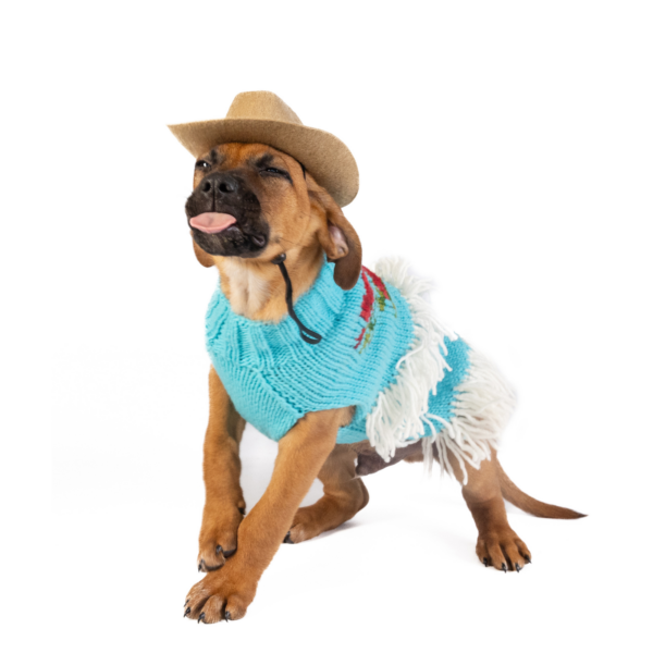 Rodeo Dog Sweater