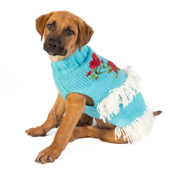 Rodeo Dog Sweater