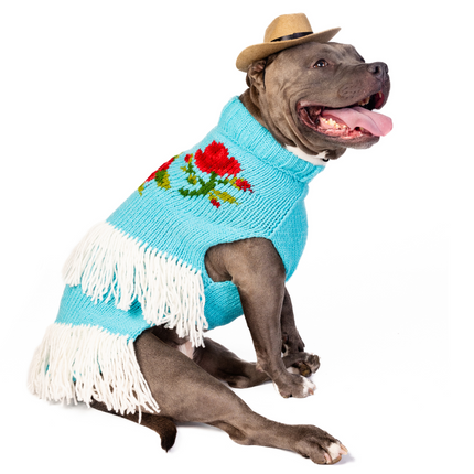 Rodeo Dog Sweater