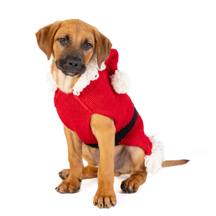 Santa Dog Sweater