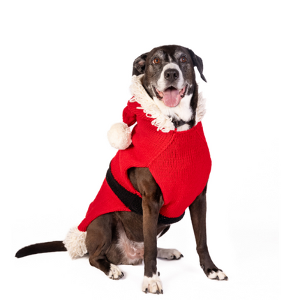 Santa Dog Sweater