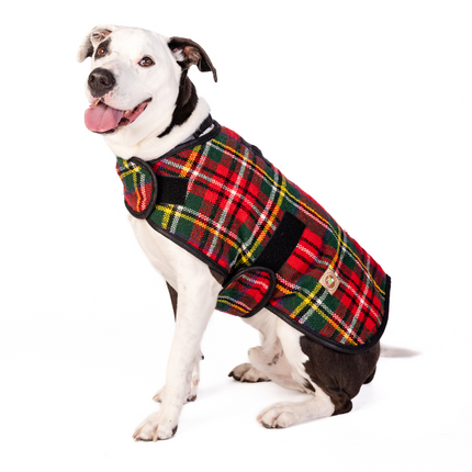 Scotty Plaid Dog Coat