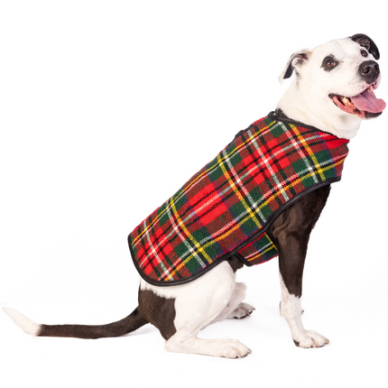 Scotty Plaid Dog Coat