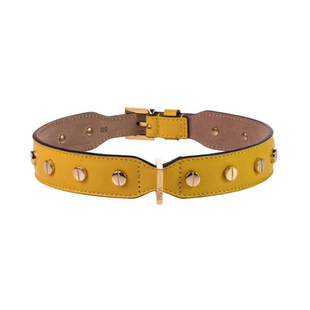 Stud Screw Sun Leather Collar