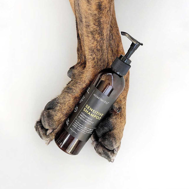 Sensitive Dog Shampoo: Chamomile, Sweet Orange & Rosewood 250ml