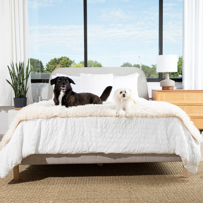 PupProtector™ Luxe Waterproof Bed Runner - Plush Sheep Ivory