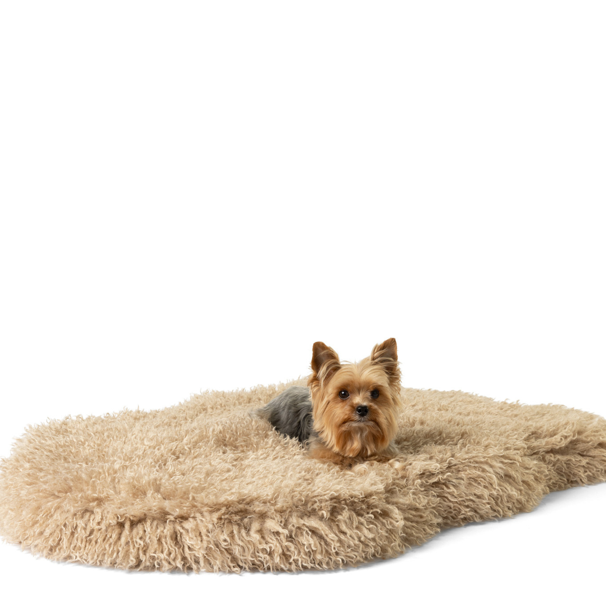 PupRugLuxe Faux Fur Orthopedic Dog Bed - Plush Sheep Tan Medium (40