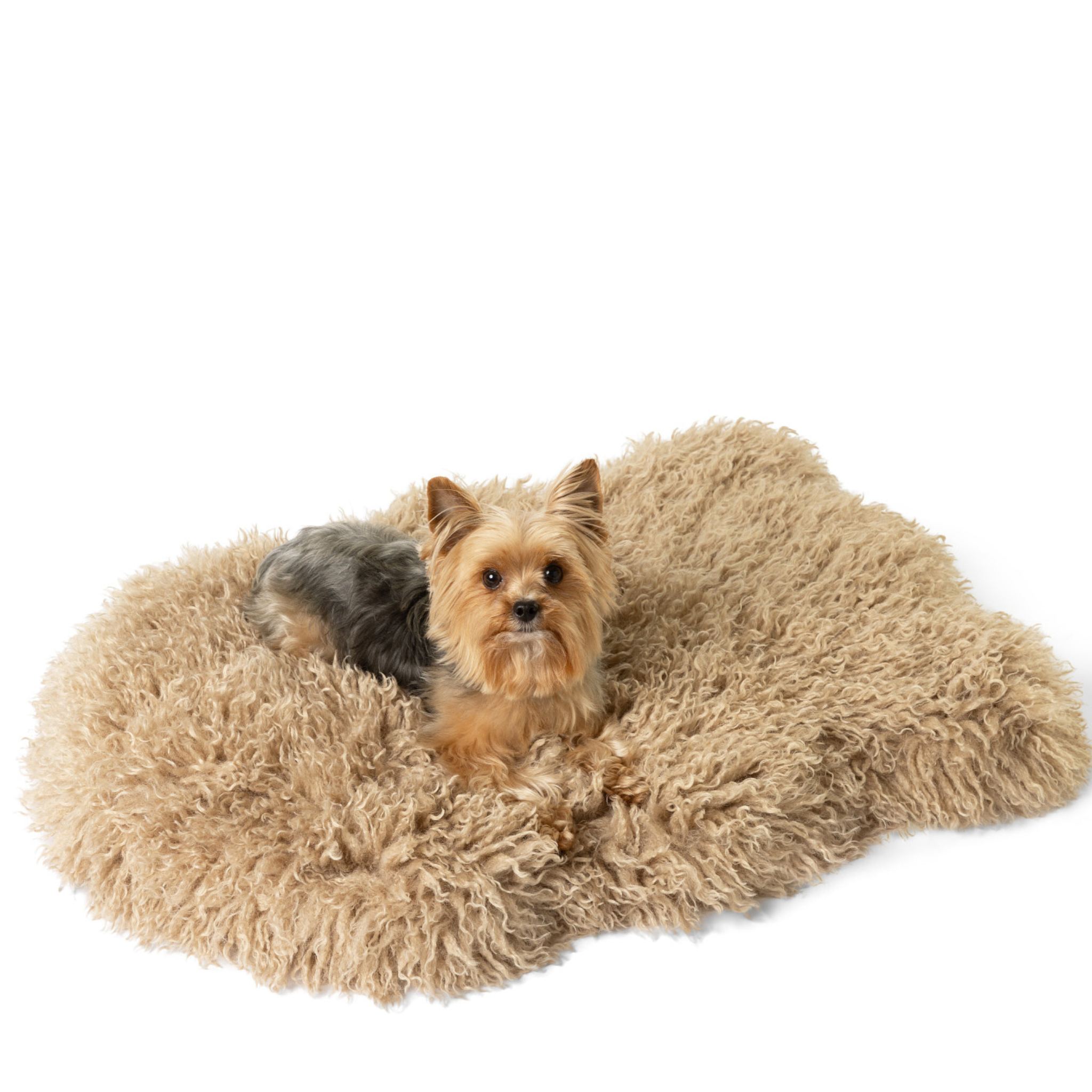 PupRugLuxe Faux Fur Orthopedic Dog Bed - Plush Sheep Tan