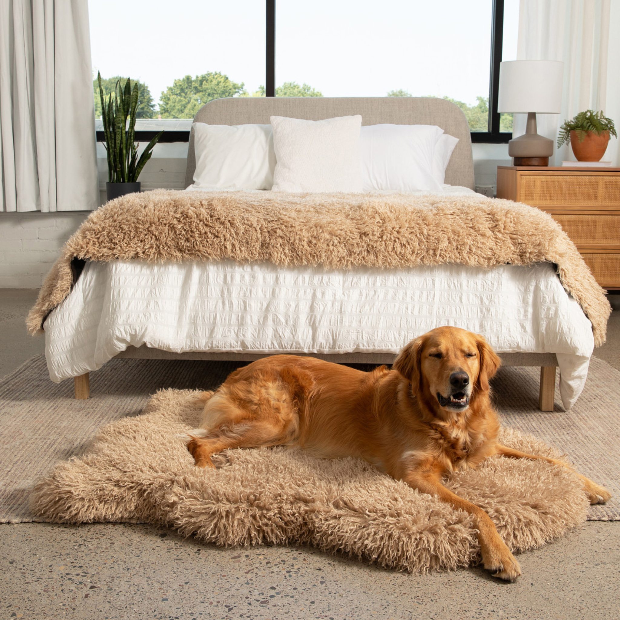 PupRugLuxe Faux Fur Orthopedic Dog Bed - Plush Sheep Tan Large (50