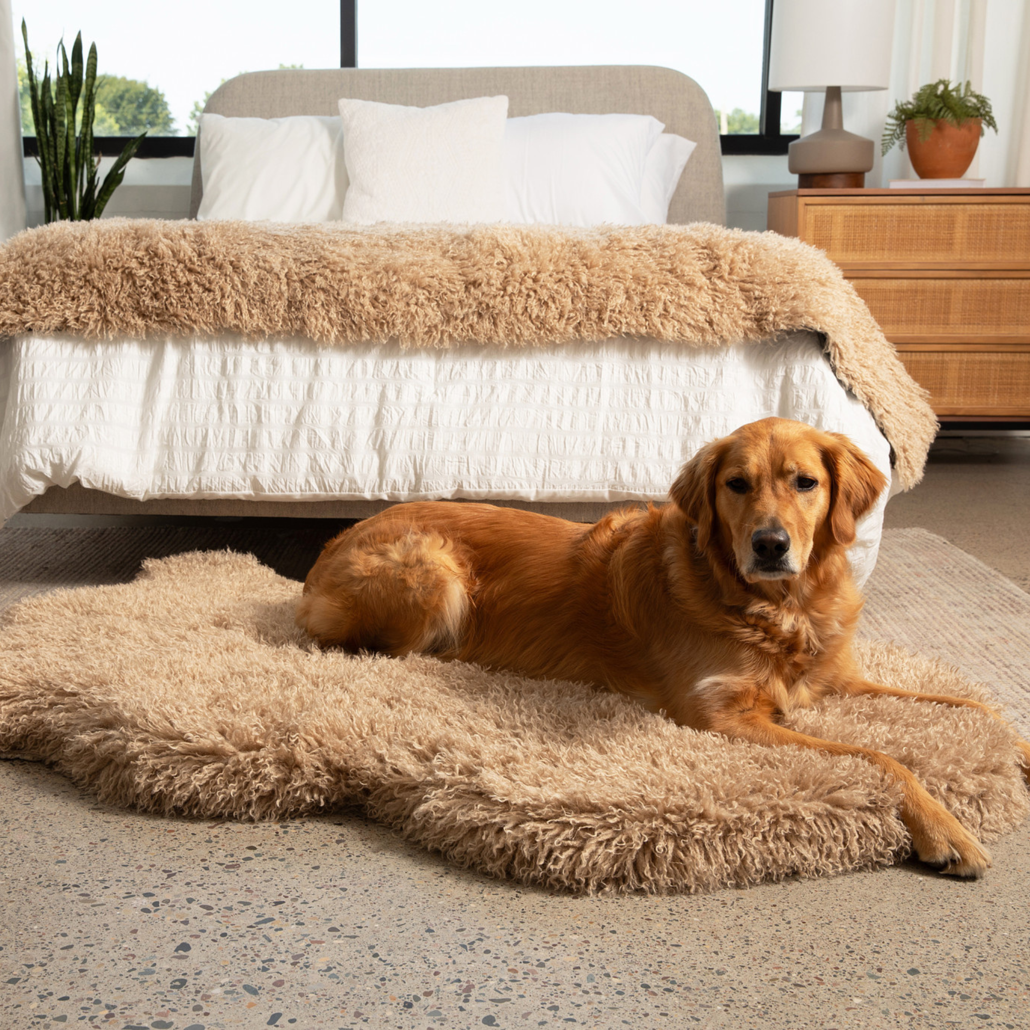 PupRugLuxe Faux Fur Orthopedic Dog Bed - Plush Sheep Tan