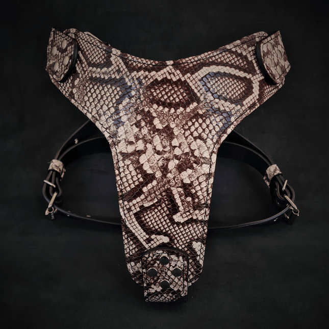 The ''Rock Python'' harness