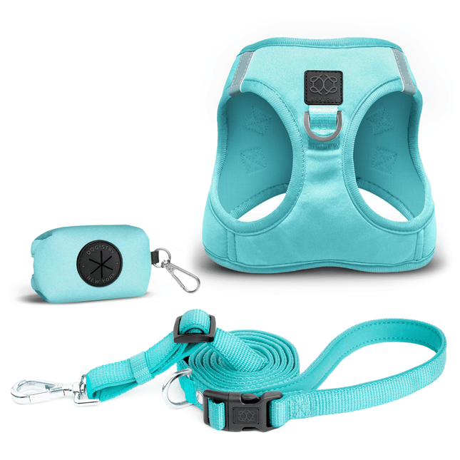 SoHo Dog Walking Set - Fifth Avenue Blue