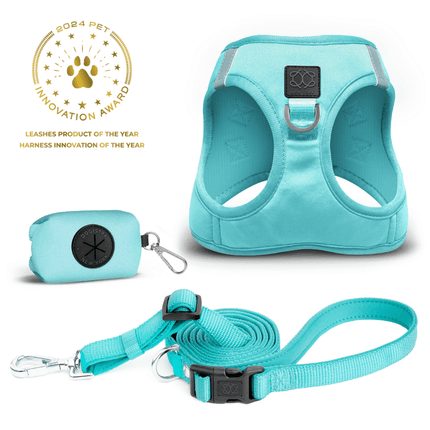 SoHo Dog Walking Set - Fifth Avenue Blue