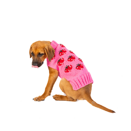 Strawberry Dog Sweater