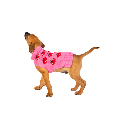 Strawberry Dog Sweater