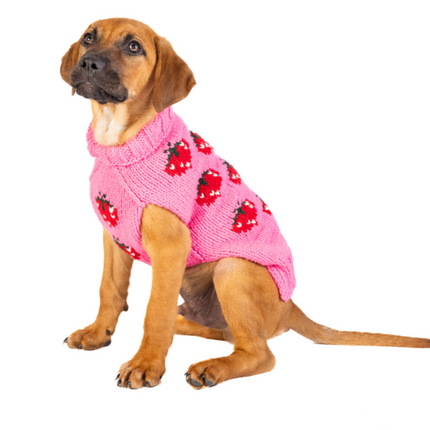 Strawberry Dog Sweater