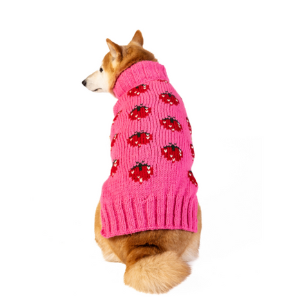 Strawberry Dog Sweater