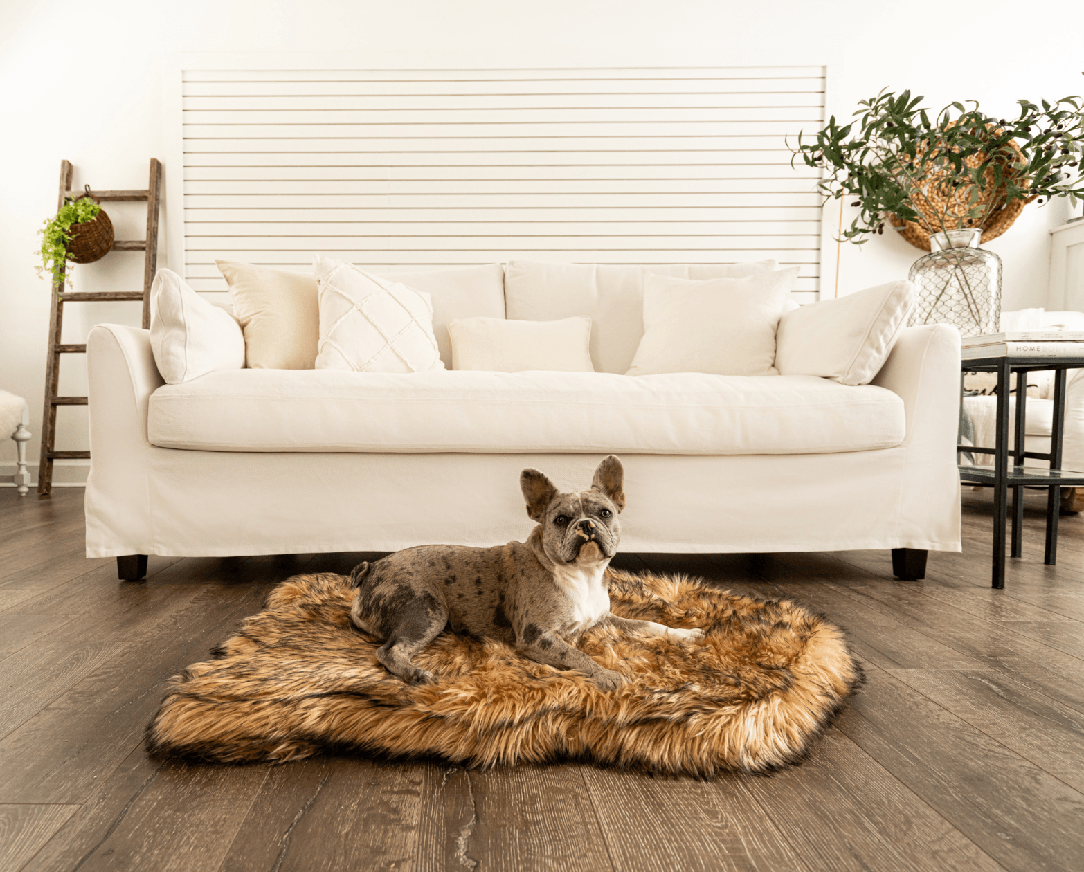 PupRug Faux Fur Orthopedic Dog Bed - Curve Sable Tan Medium (40