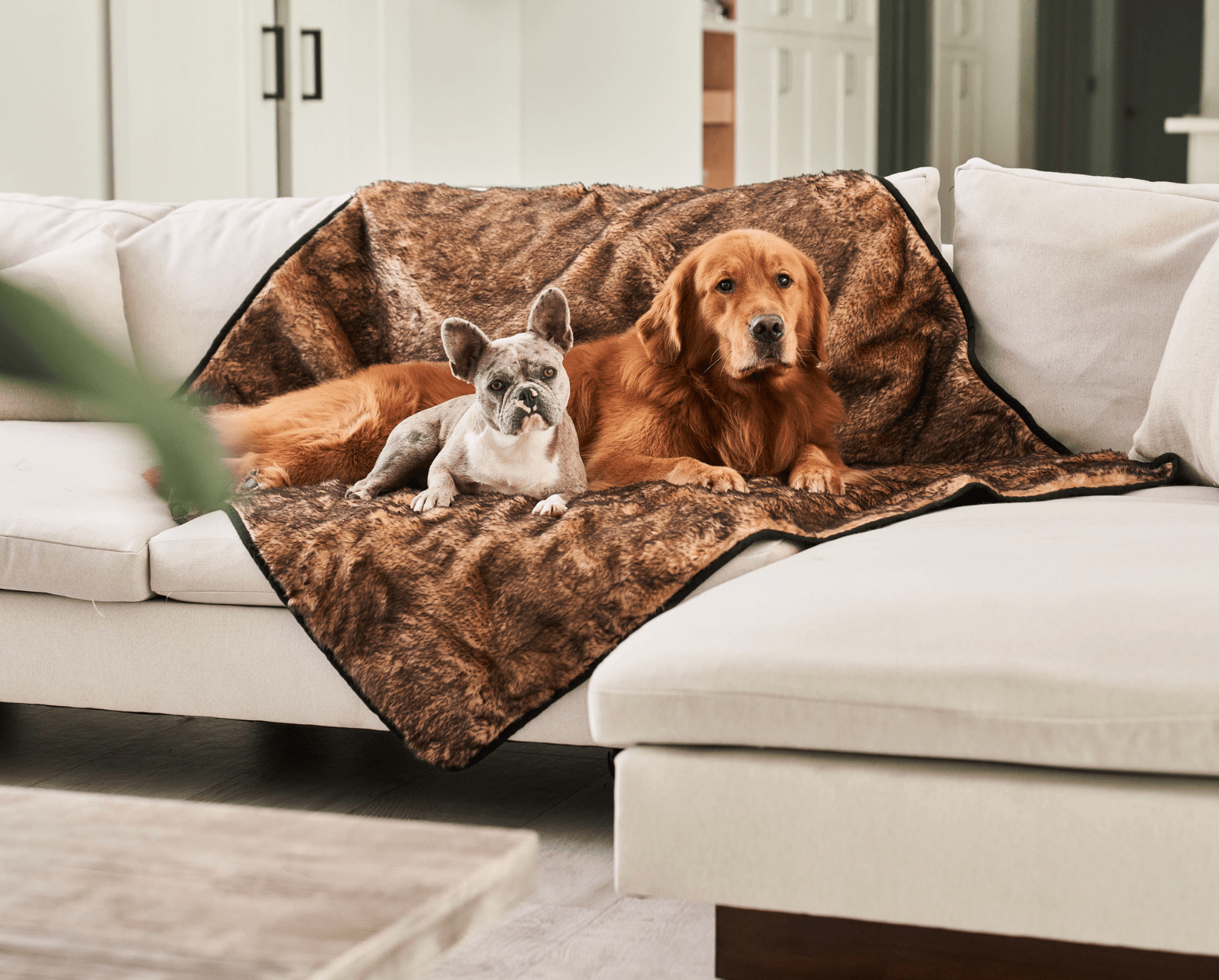 PupProtectorShort Fur Waterproof Throw Blanket - Sable Tan