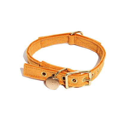 Tangerine Washable Velvet Cat & Dog Collar