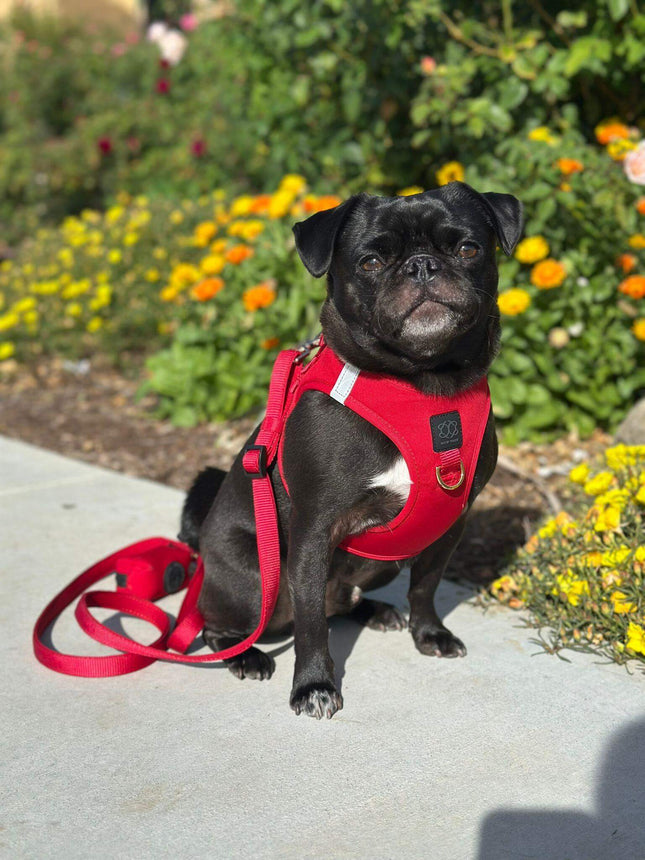 Poop Bag Holder - Iconic Red