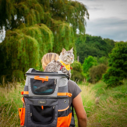 Two-Tier Cat-Dog Backpack Carrier