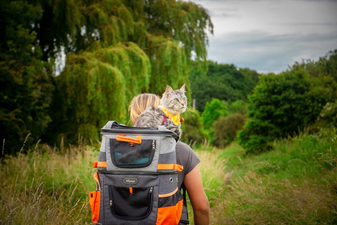 Two-Tier Cat-Dog Backpack Carrier