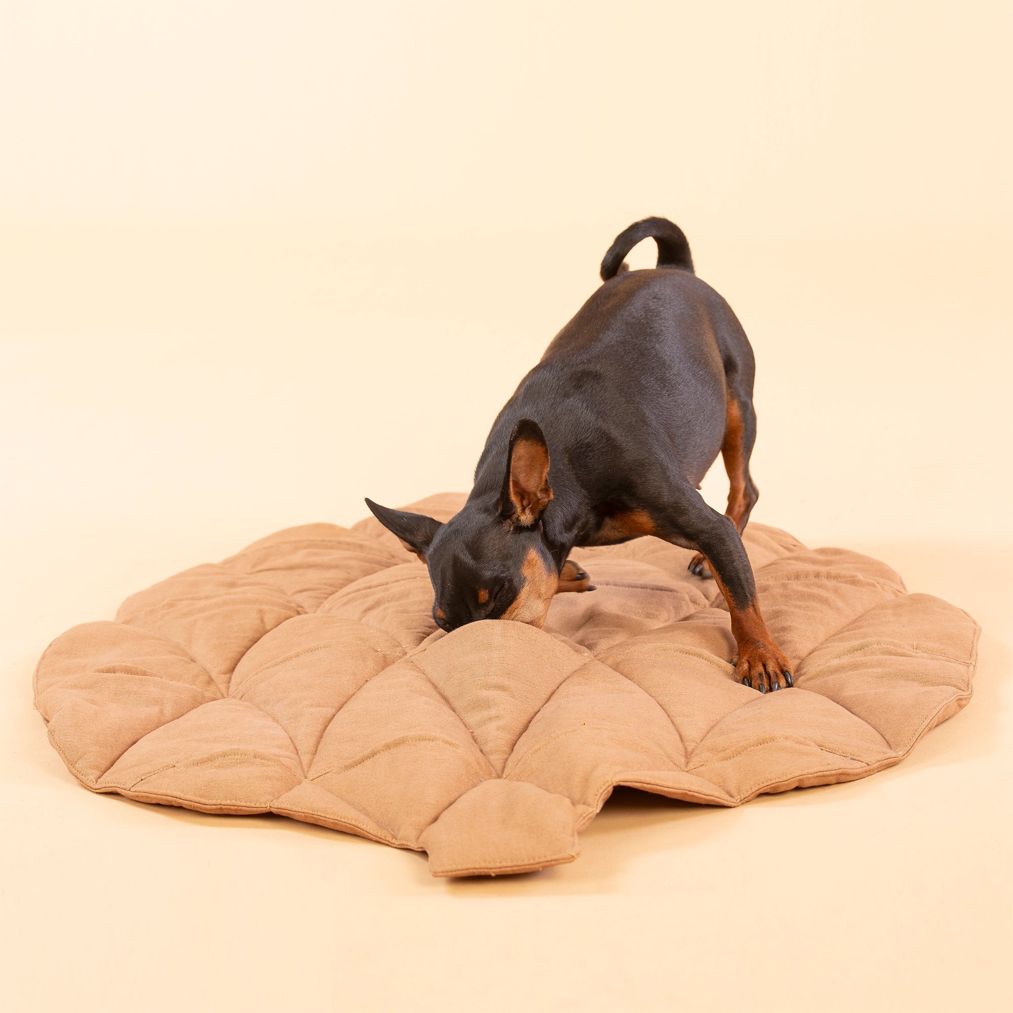 Pine Cone Playmat for Dogs