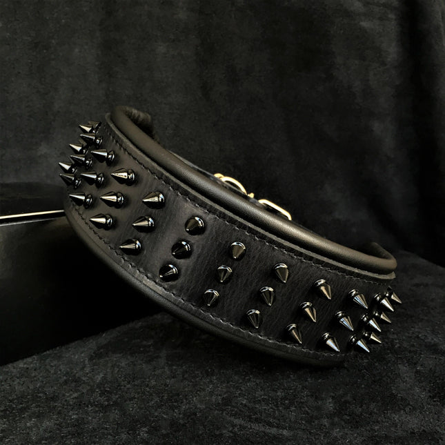 ''Black Giant'' collar