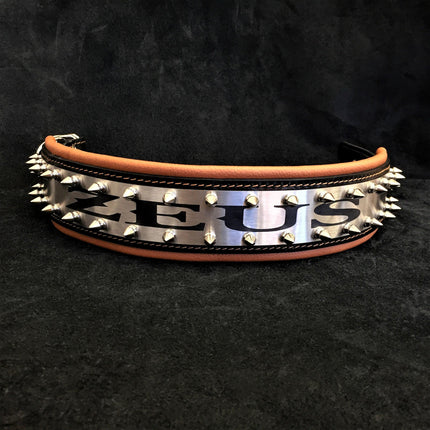 The "Metal" collar- personalized!