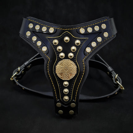 The ''Maximus'' harness V2 Medium Size