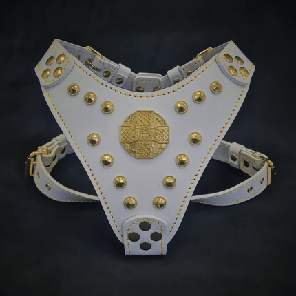 The ''Maximus'' harness White & Gold Small to Medium Size