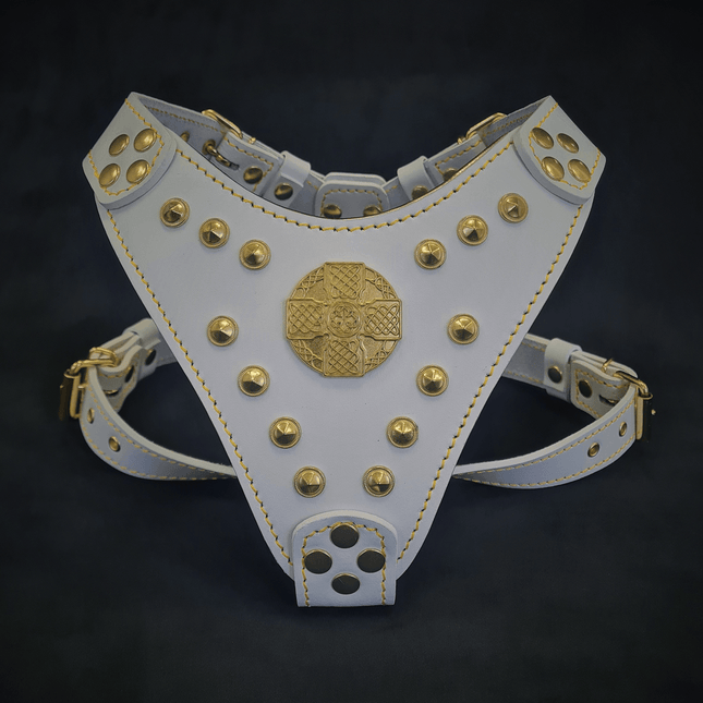 The ''Maximus'' harness White & Gold Small to Medium Size