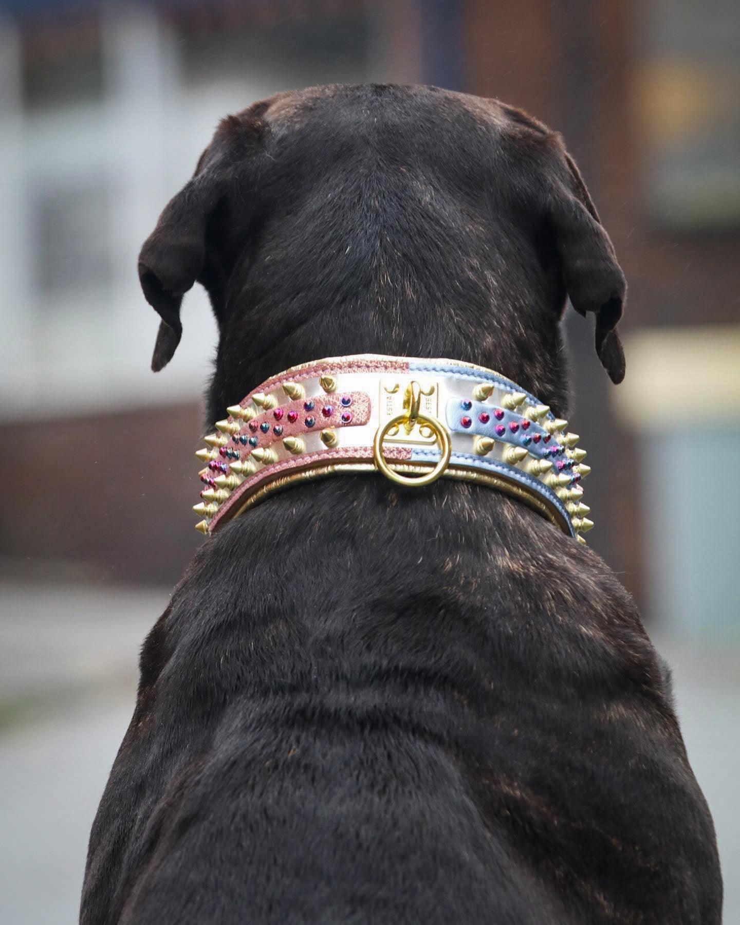 The Candy Dog Collar