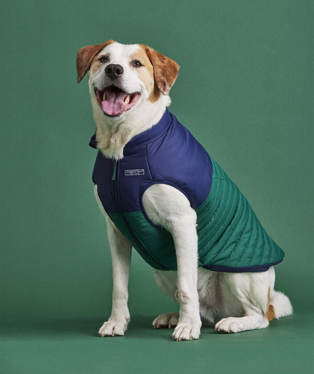 Vineyard Vines X Fma Pet Puffer Jacket, Turf Green