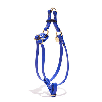 Water Resistant Cat & Dog Harness, Bright Blue