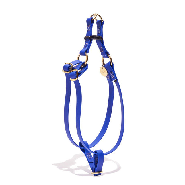 Water Resistant Cat & Dog Harness, Bright Blue