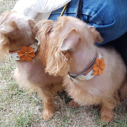 The "Flower" handmade puppy collar