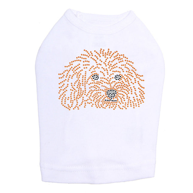 Teddy Poodle - Dog Tank