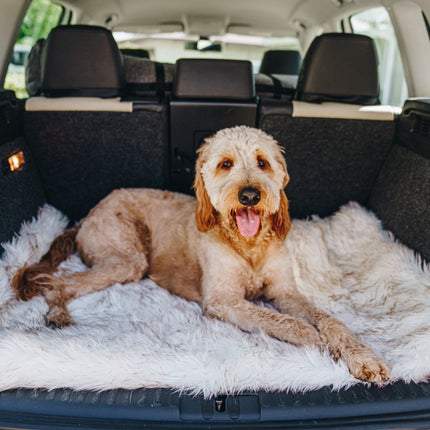 PupRug by Paw.com™ Portable Orthopedic Dog Bed - White with Brown Accents